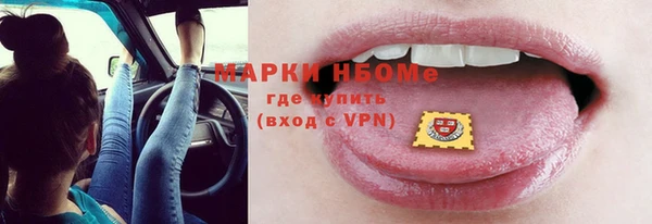 индика Баксан
