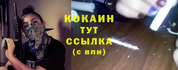 индика Баксан
