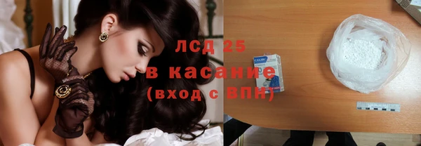индика Баксан