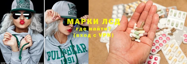 индика Баксан